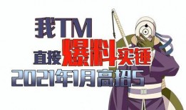 一月最新高招S爆料,一月S爆料深度解析”